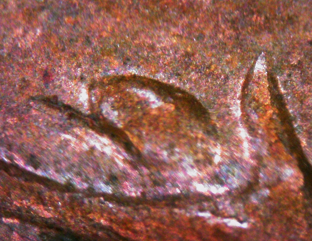 1977-Penny-Extra-Spine?
