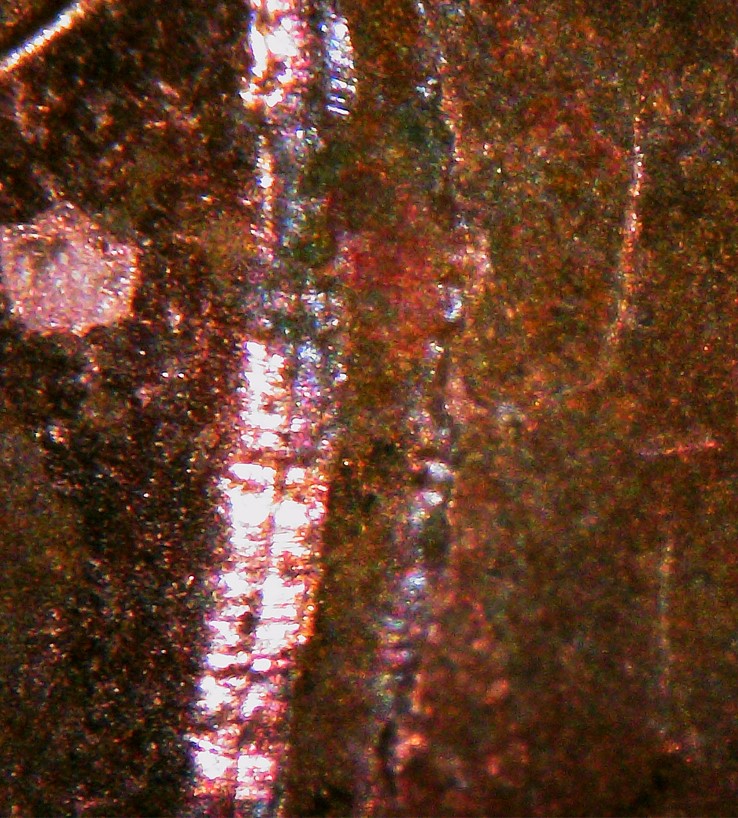1978-Penny-Odd-Error.-Super-Die-Deteriroated-Back?