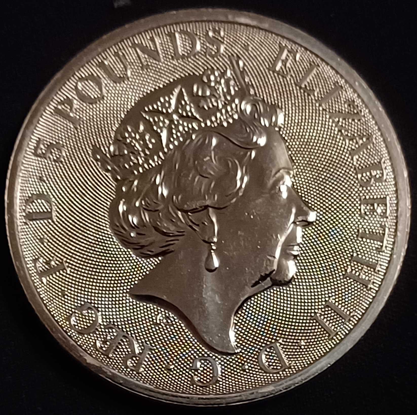 Got-My-Hands-On-Some-2023-Tudor-Beast-Yale-Coins