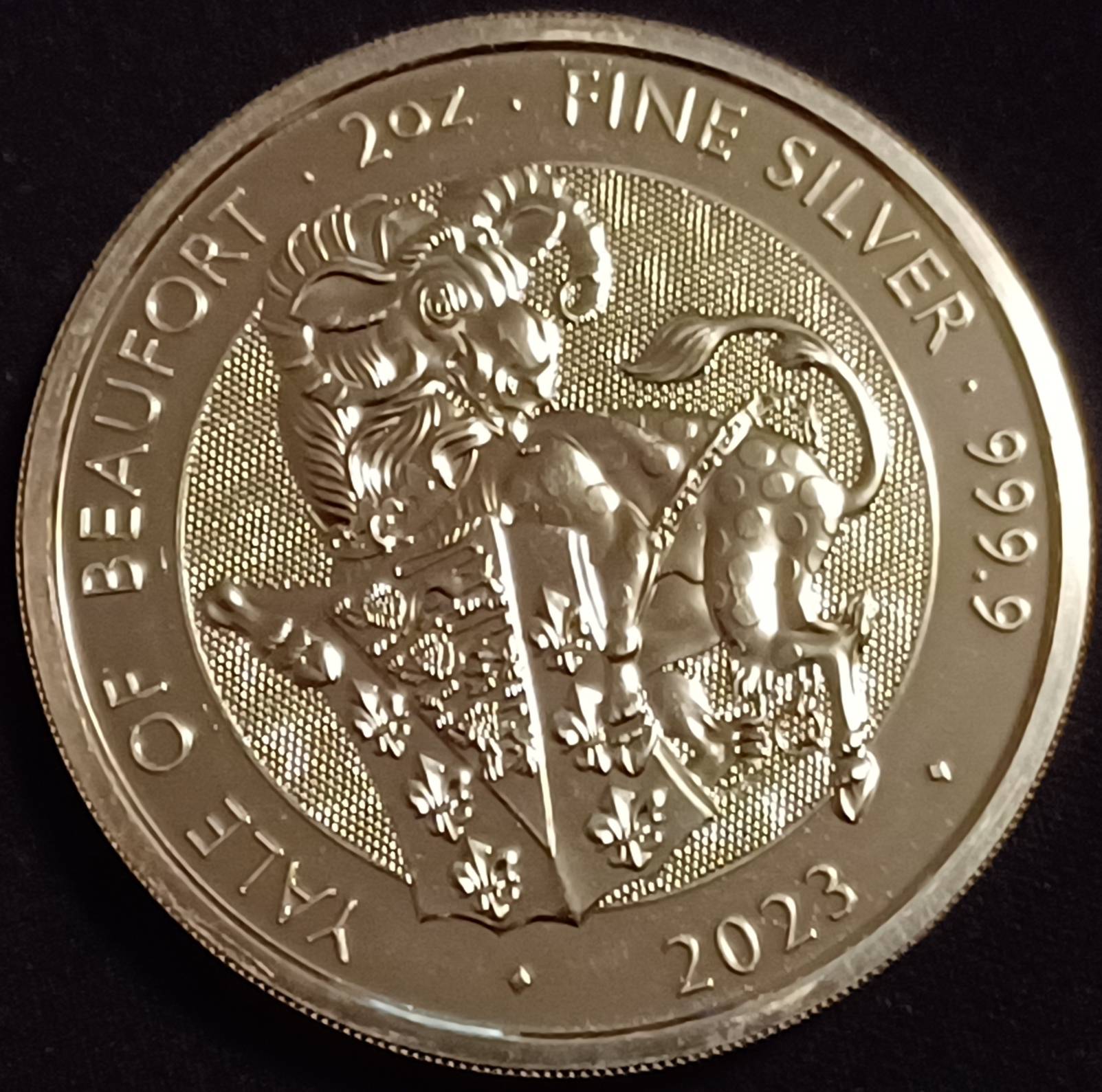 Got-My-Hands-On-Some-2023-Tudor-Beast-Yale-Coins
