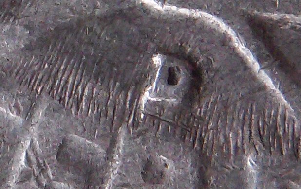 1957-D-Quarter-With-RPM-Over-Horizontal-D?