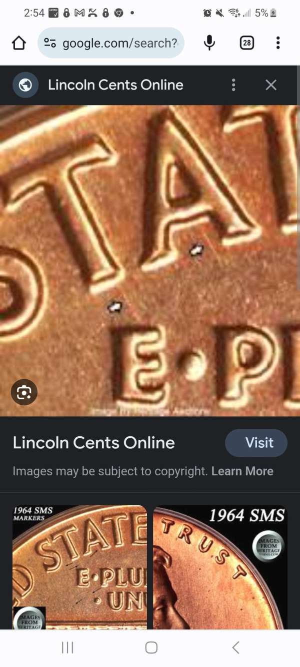 Should-I-Be-Paying-Attention.-The-Never-Find-Circulated-1964-SMS-?-Cent