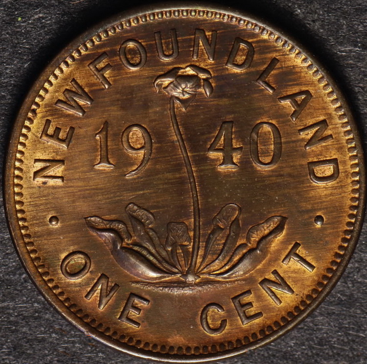 Woody's,-Wood-Toned-Coins---I'll-Show-You-Mine-If-You-Show-Me-Yours!