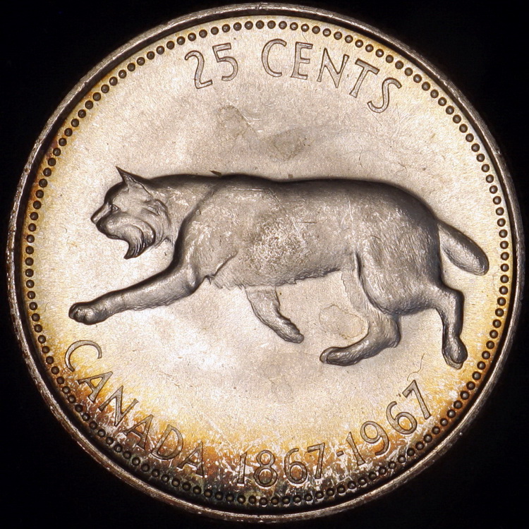 1967,-Just-A-Colorful-Cat-@-ICCS