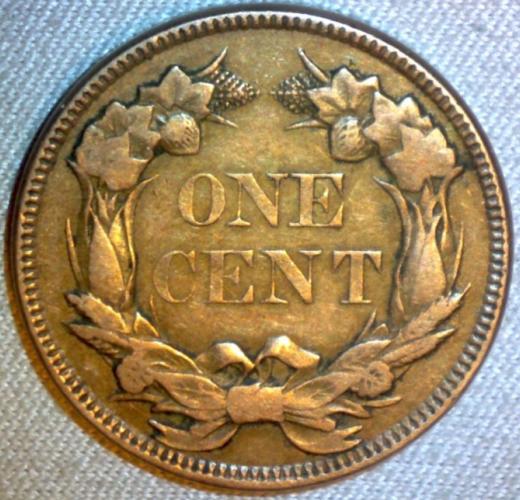 51-Days-Of-Flying-Eagle-And-Indian-Head-Cents!---Part-4!!