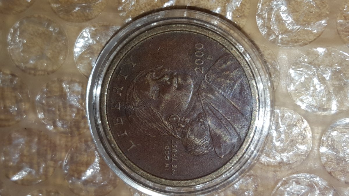 2000-D-Sacagawea-Dollar-Experamental-Rinse