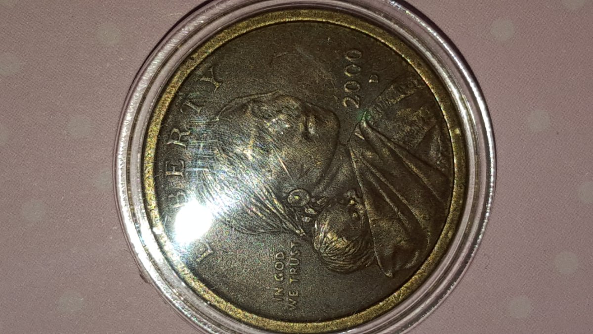 2000-P-Sacagawea-Strange/Amazing-Petipa,-Color,-And-Texture