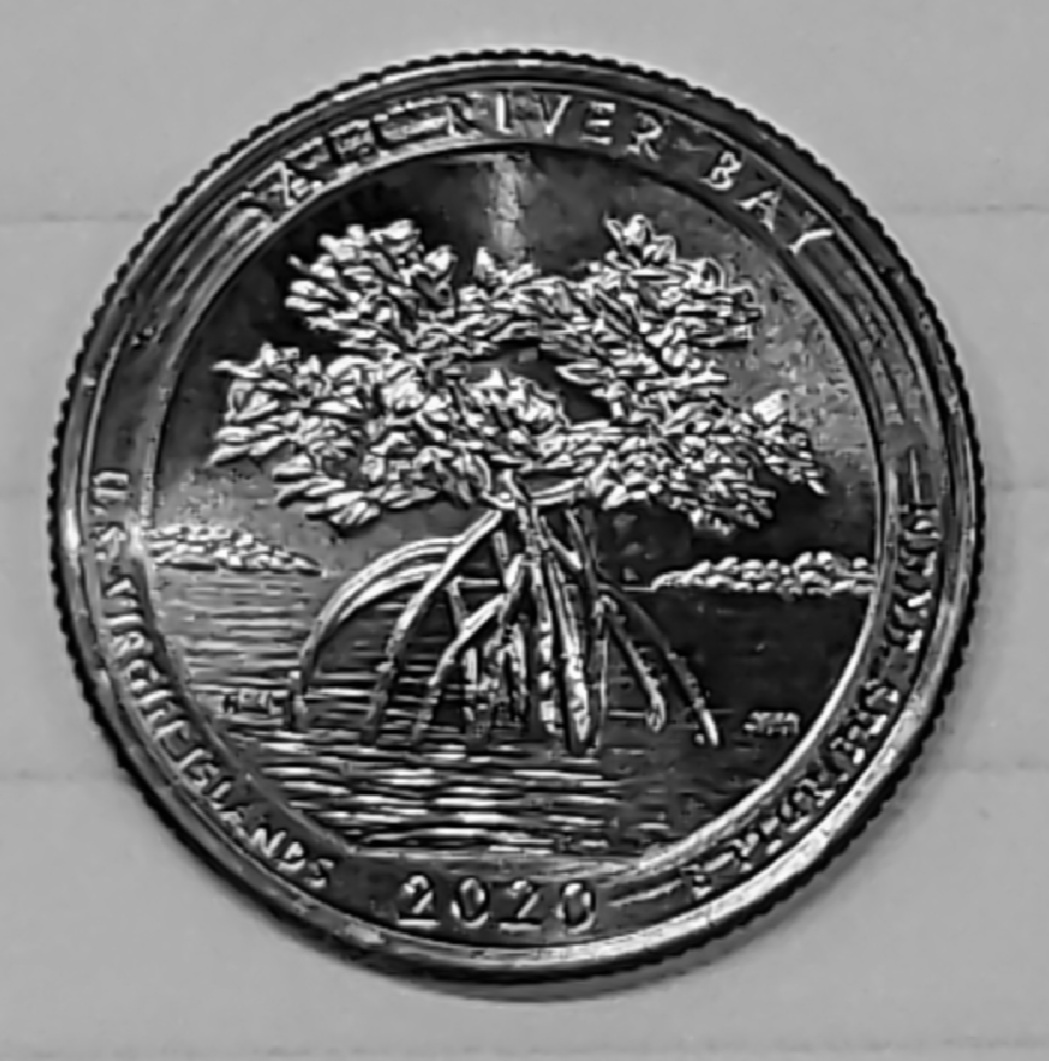 Die-Scrapes-On-2020-P-Salt-River-Bay-Quarter!
