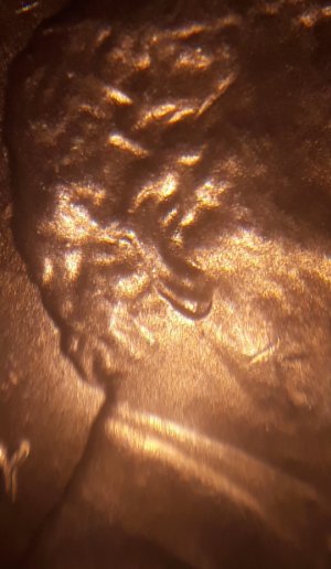 2016-D-Lincoln-Doubling--On-Ear.