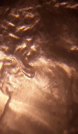 2016-D-Lincoln-Doubling--On-Ear.