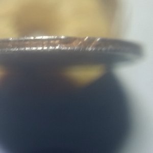 196?-Rosvelt-Dome.-What-Kind-Of-Error?