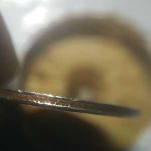 196?-Rosvelt-Dome.-What-Kind-Of-Error?