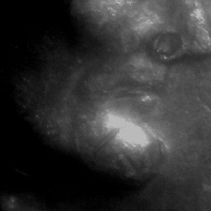 1976-D-Lincoln-Penny.--Error