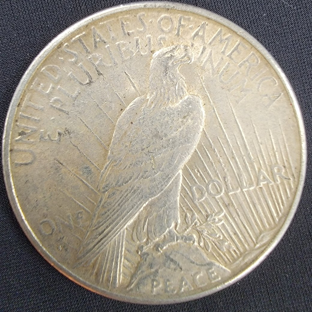 Can-I-Get-Some-Help-Grading-This-1928-Peace-Dollar