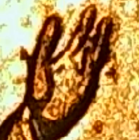 2009-D-Lincoln-Professional--Multiple-Die-Clash-Error-And-Possible-Doubled-Thumb,-Smeared-Design