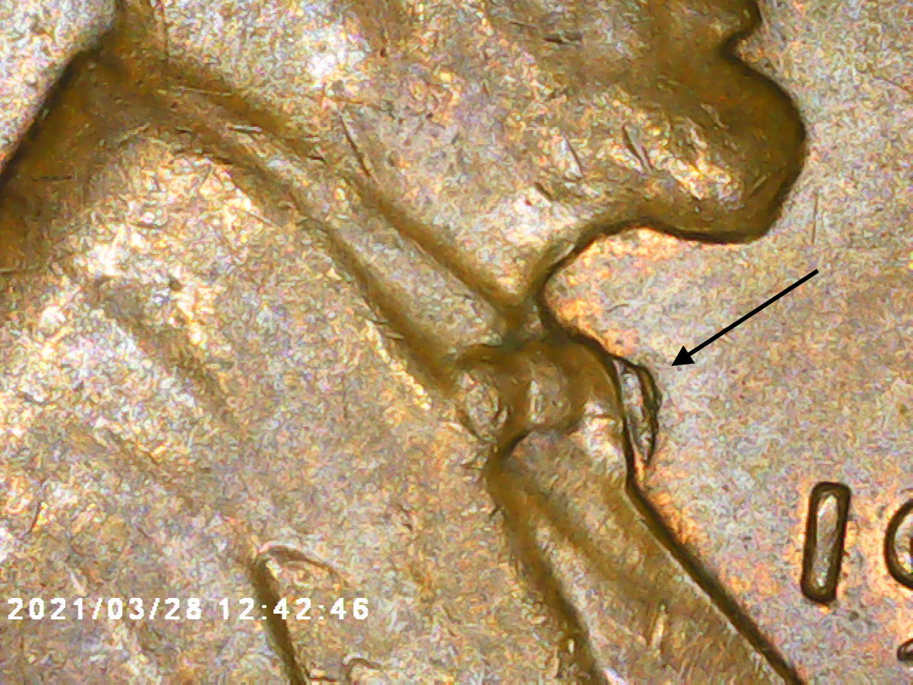 1956-Lincoln-Cent-Cracked-Skull-And-Die-Chip-Extra-Tie