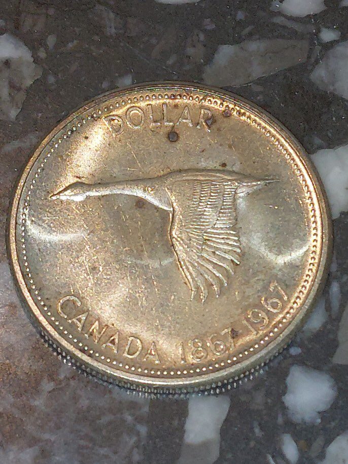 1867-1967-Silver-Dollar-Grading-And-Cleaning?