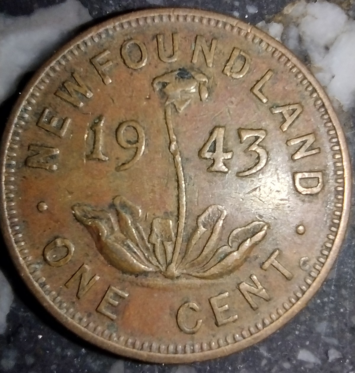 1943-Newfoundland-Penny-In-Coin-Roll