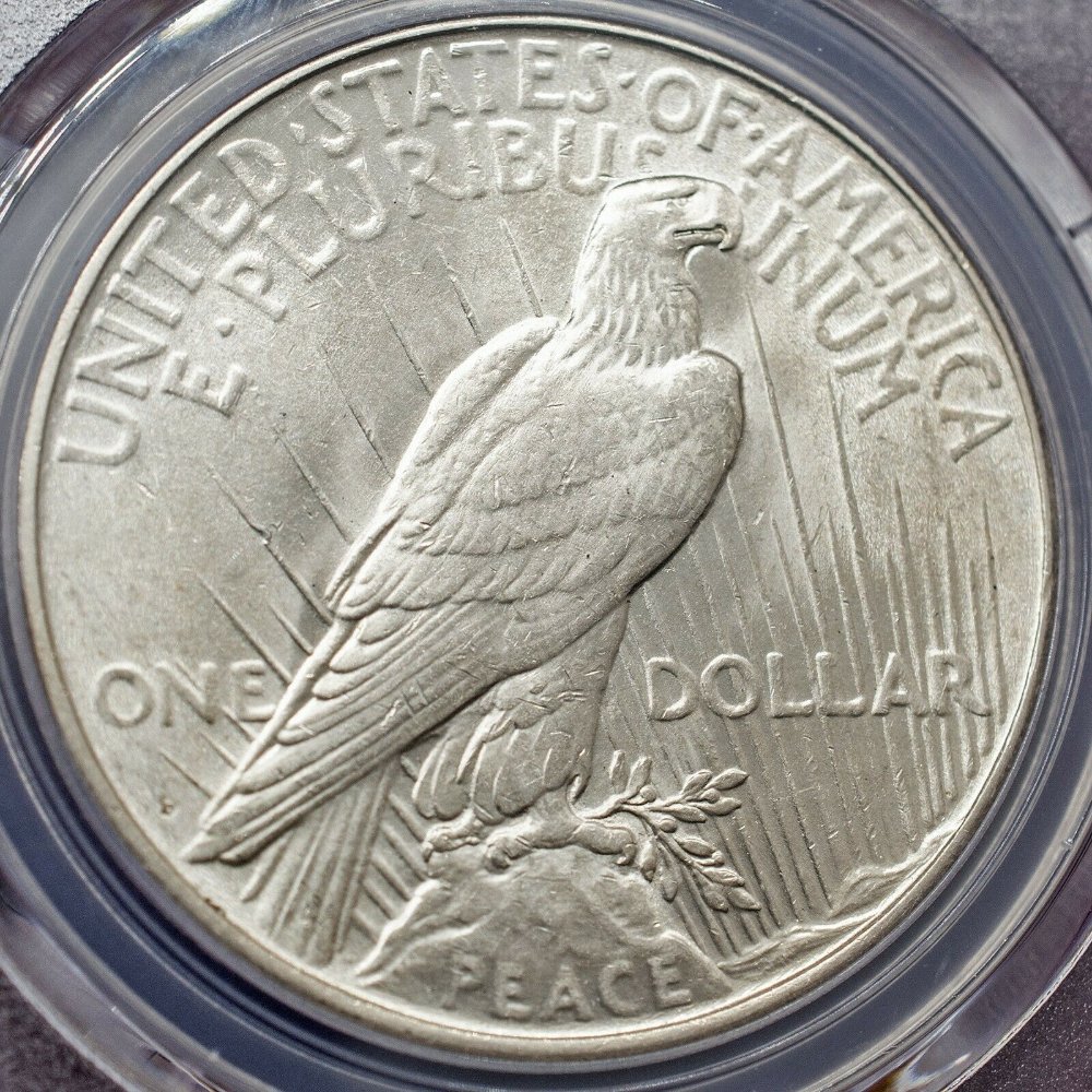 1934-D-Peace-Dollar,-VAM-9,--Low-D,-Micro-D?