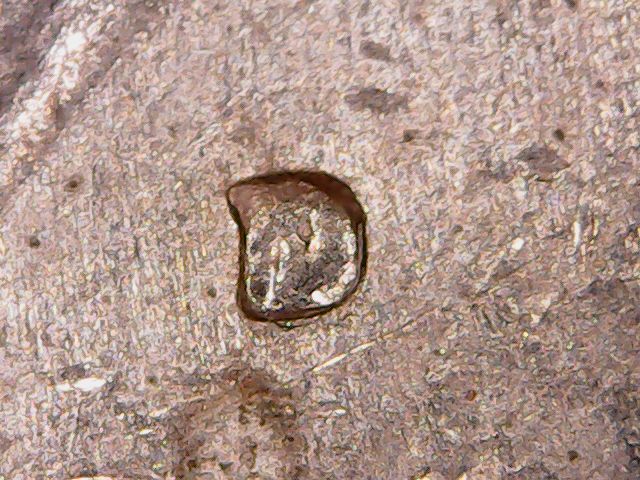 1974-D-Half-Dollar.-Can-It-Be-An-RPM-Or-A-Filled-D?-Thank-You.