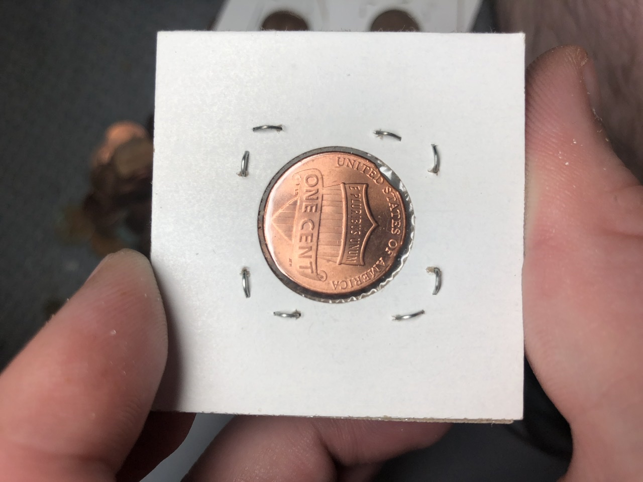 2016-D-LSC-Double-/-Triple-Clipped-Planchet?