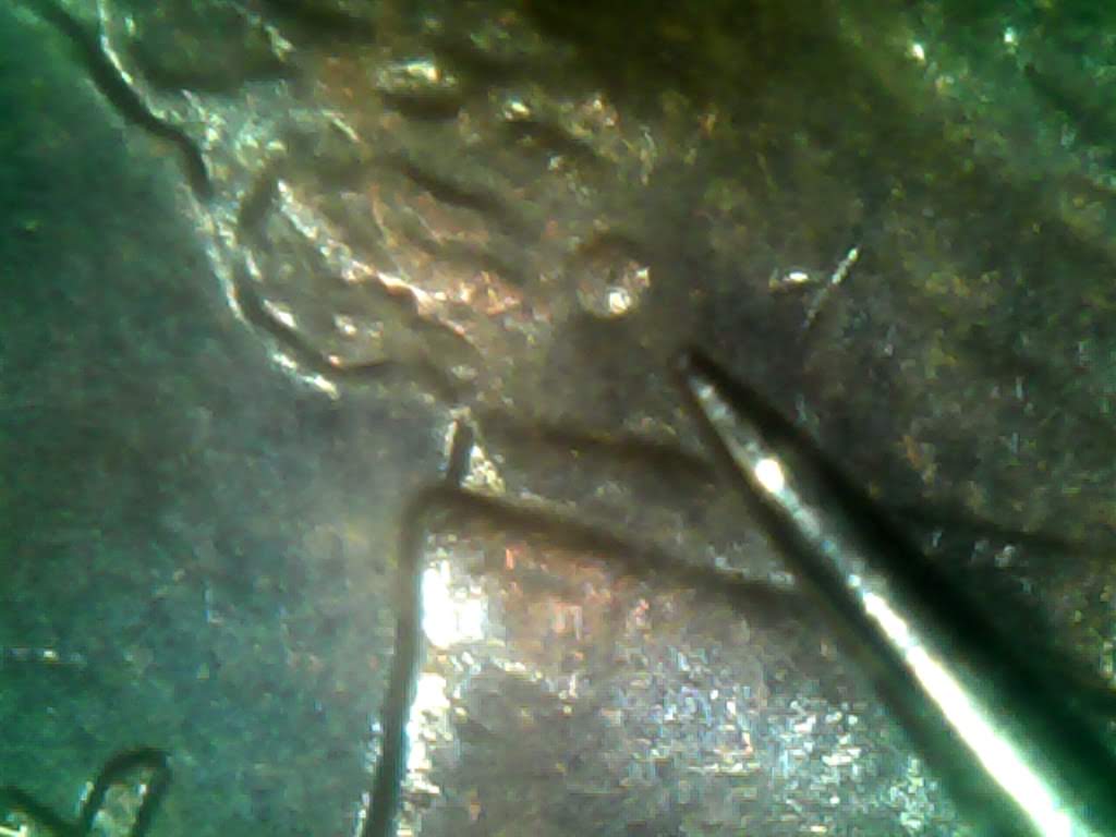 2009-Lincoln-CentTest-Mark