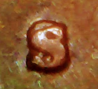 1974-S-Penny-Thin-Date
