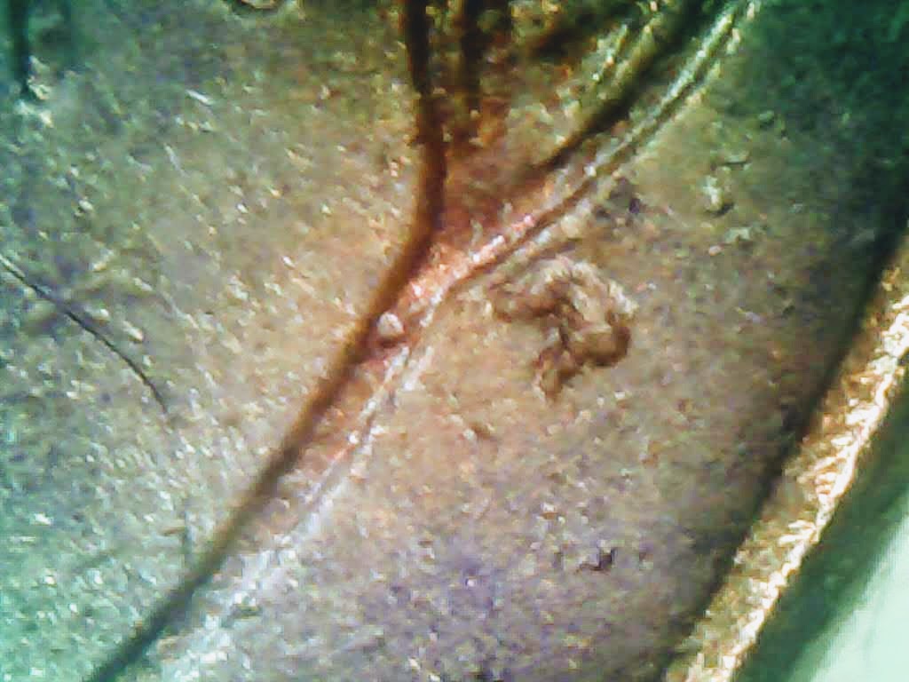 1957-D-Wheat-Penny-Strike-Through?