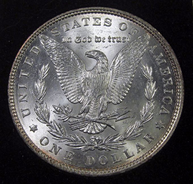 The-28-Days-Of-Morgan-Dollars-Part-4