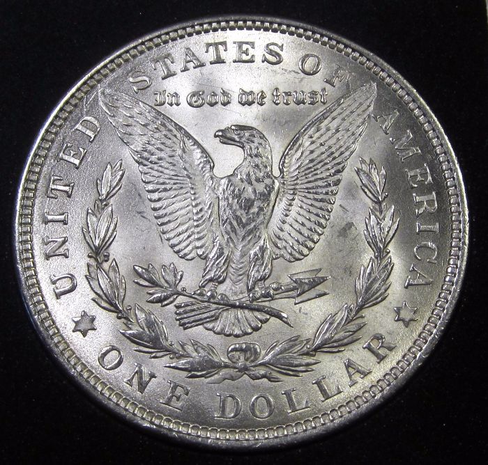 28-Days-Of-The-Morgan-Dollars-Part-5