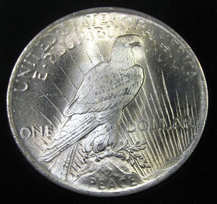 10-Days-Of-Peace-Dollars!