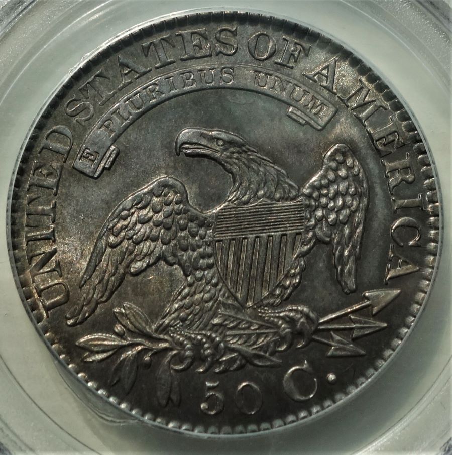 1828-Capped-Bust-Half-Dollar--PCGS-Vs.-You