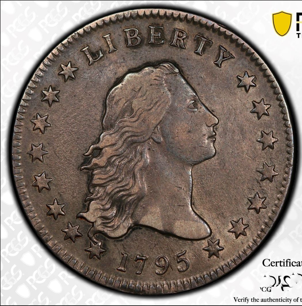 1795-Flowing-Hair-Silver-Dollar,-2-Leaves-PCGS-Vs.-You