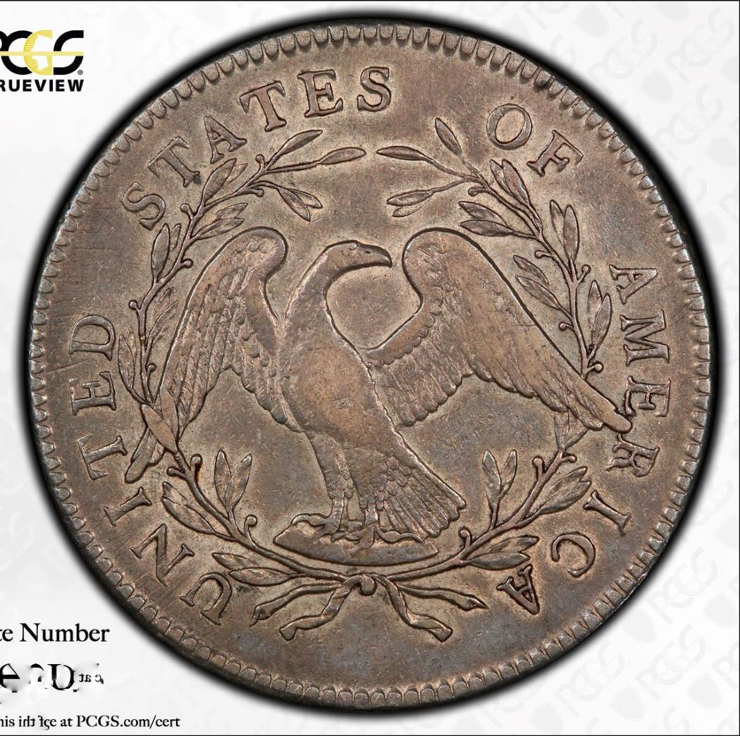 1795-Flowing-Hair-Silver-Dollar,-2-Leaves-PCGS-Vs.-You