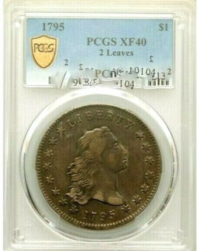 1795-Flowing-Hair-Silver-Dollar,-2-Leaves-PCGS-Vs.-You