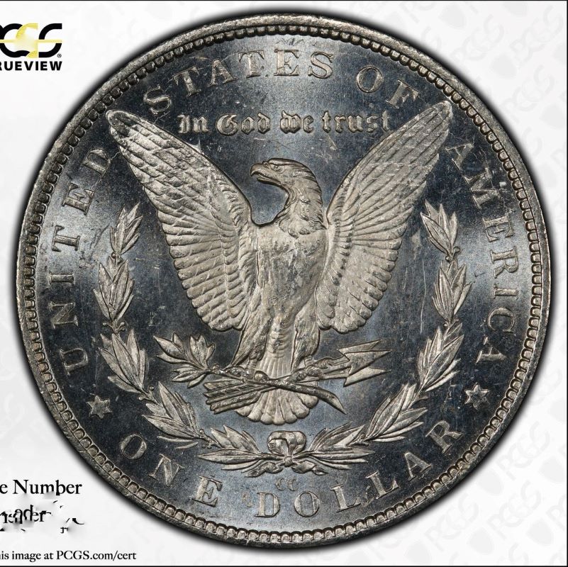 1882-CC-Morgan-Dollar--PCGS-Vs.-You