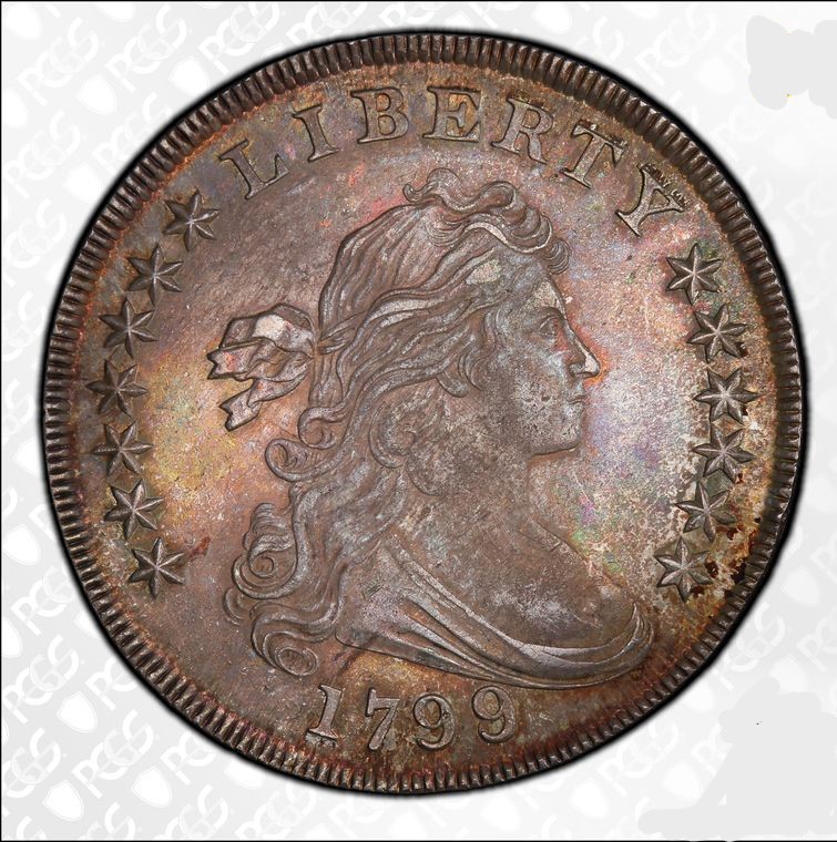1799/8-15-Stars-Draped-Bust-Dollar-PCGS-Vs-You