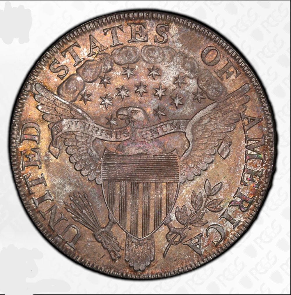 1802-Draped-Bust-Dollar-PCGS-Vs-You