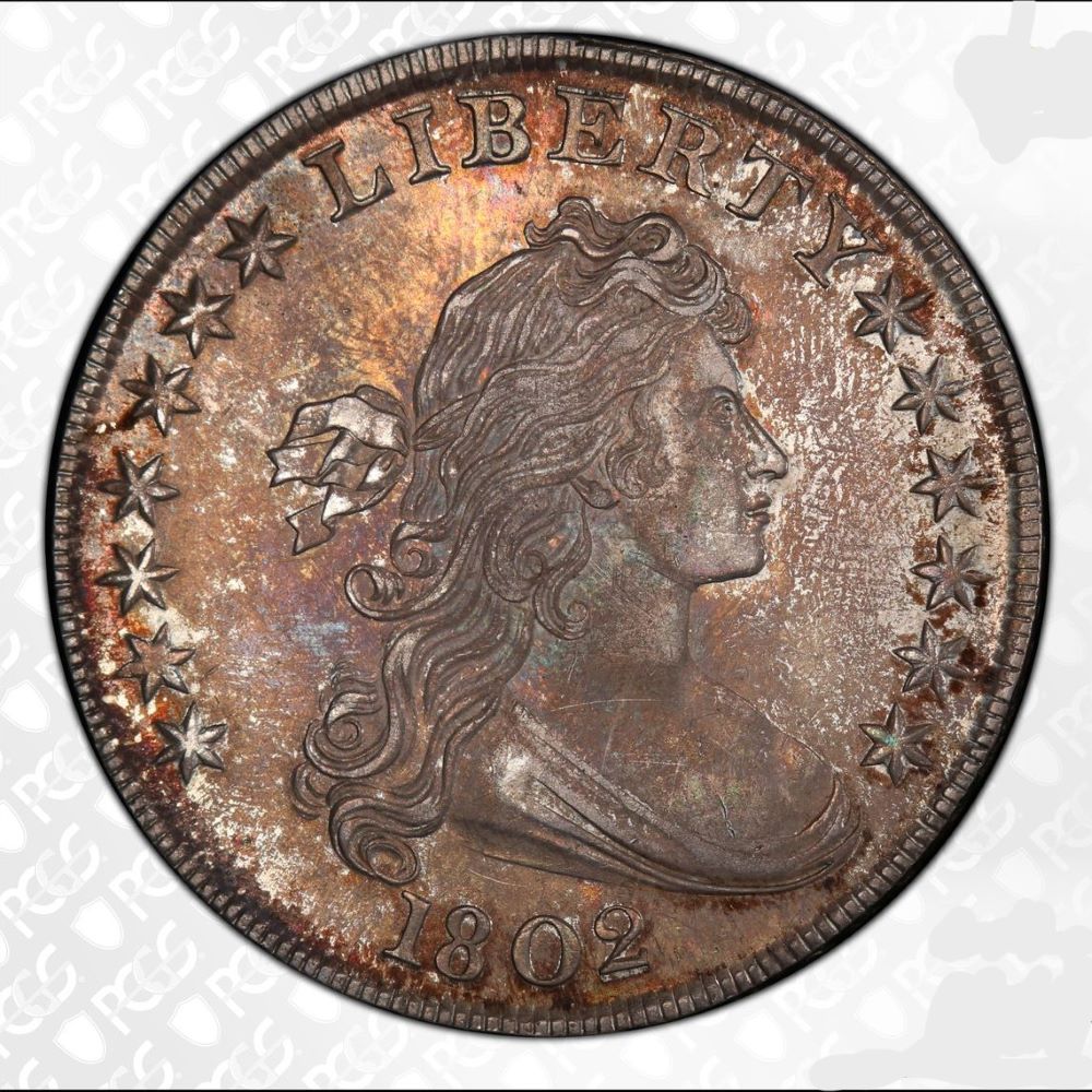 1802-Draped-Bust-Dollar-PCGS-Vs-You