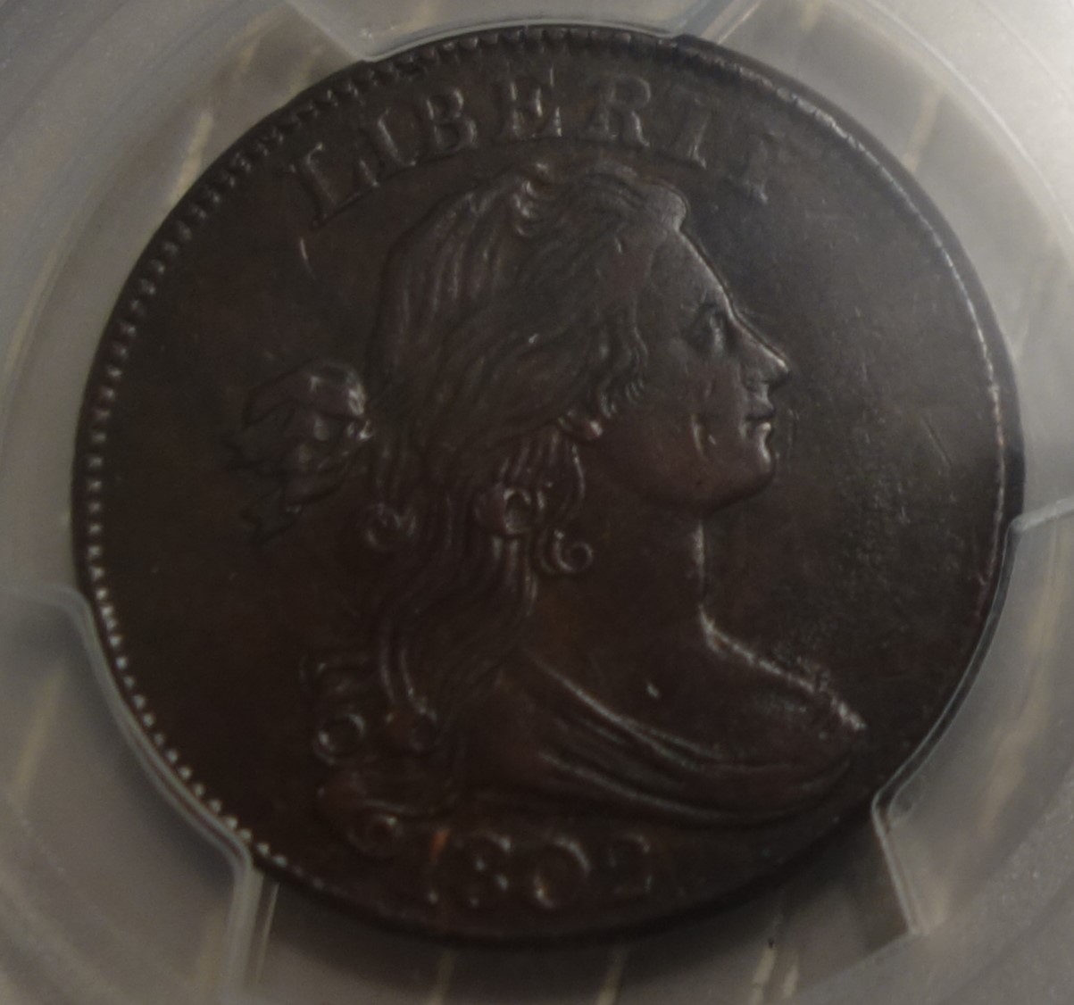1802-Draped-Bust-Large-Cent-PCGS-Vs-You