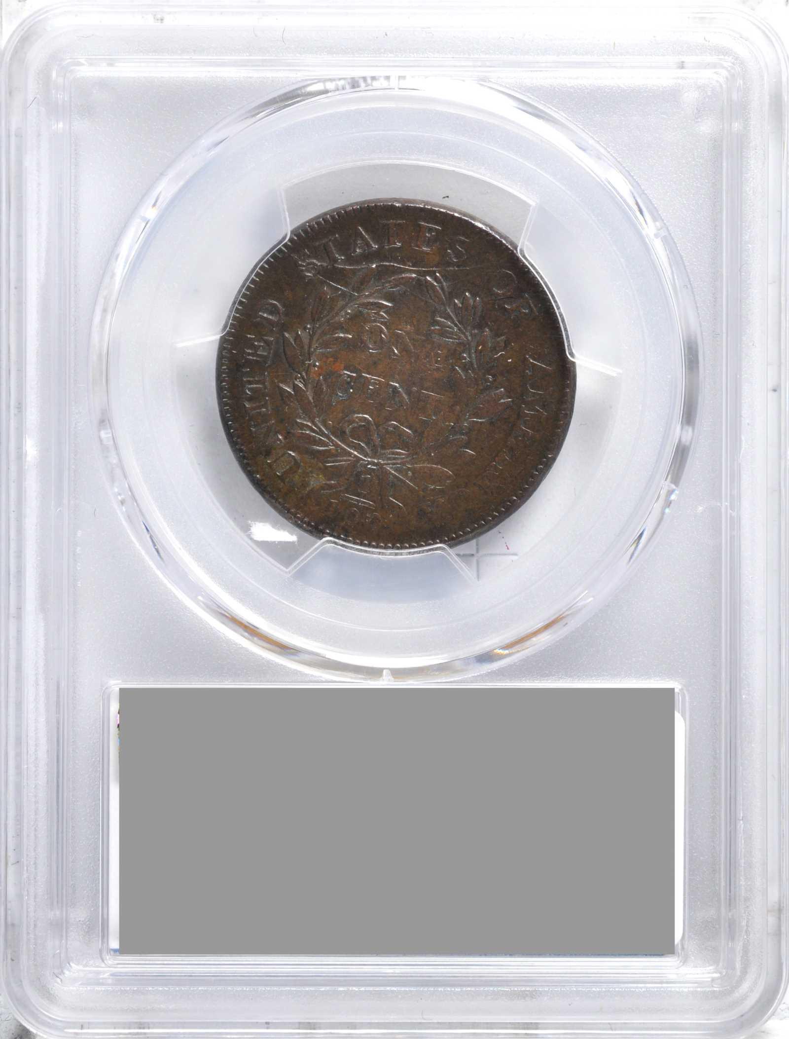 1802-Draped-Bust-Large-Cent-PCGS-Vs-You