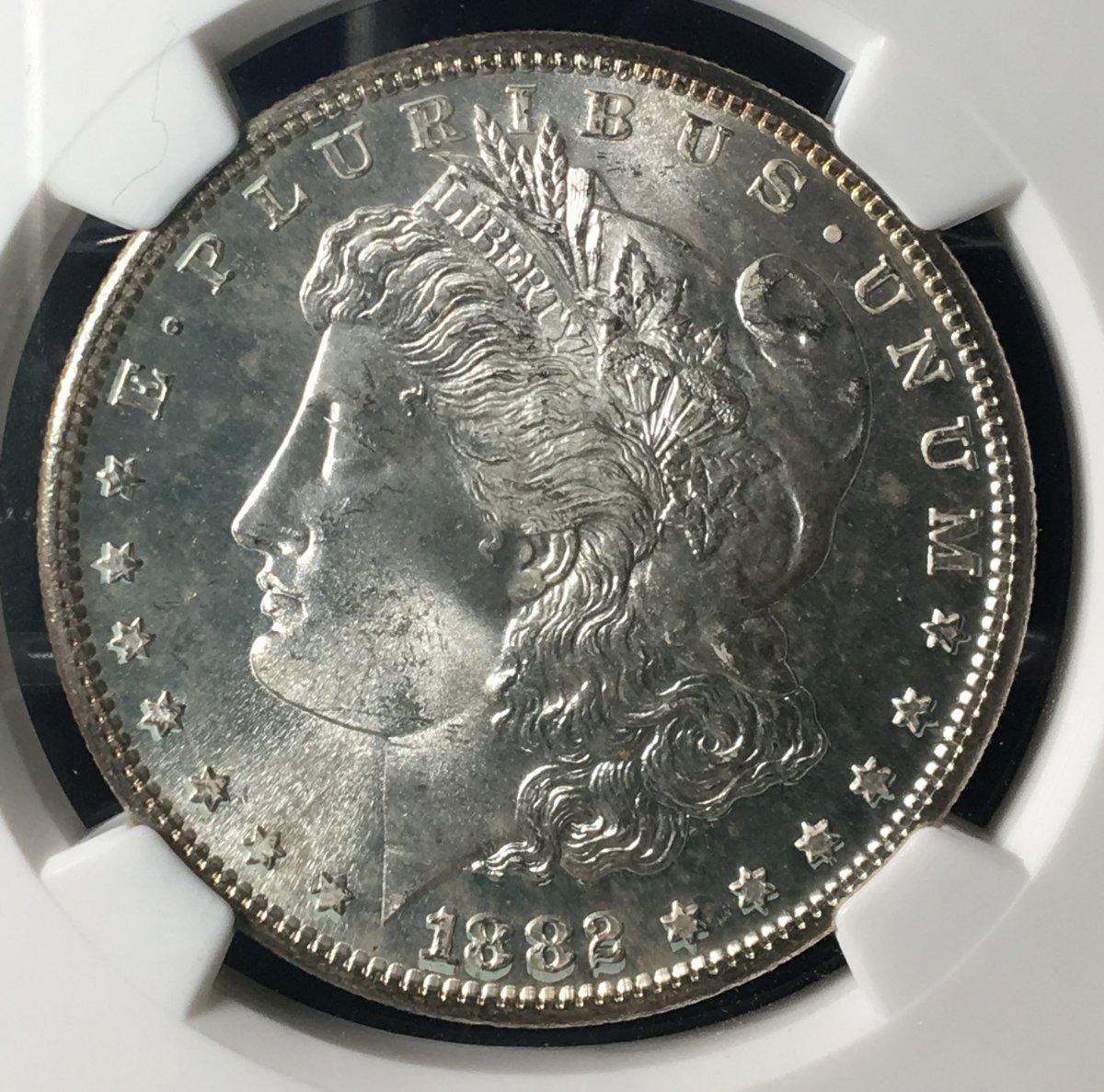 1882-S-Morgan-Silver-Dollar...-You-Vs.-NGC!