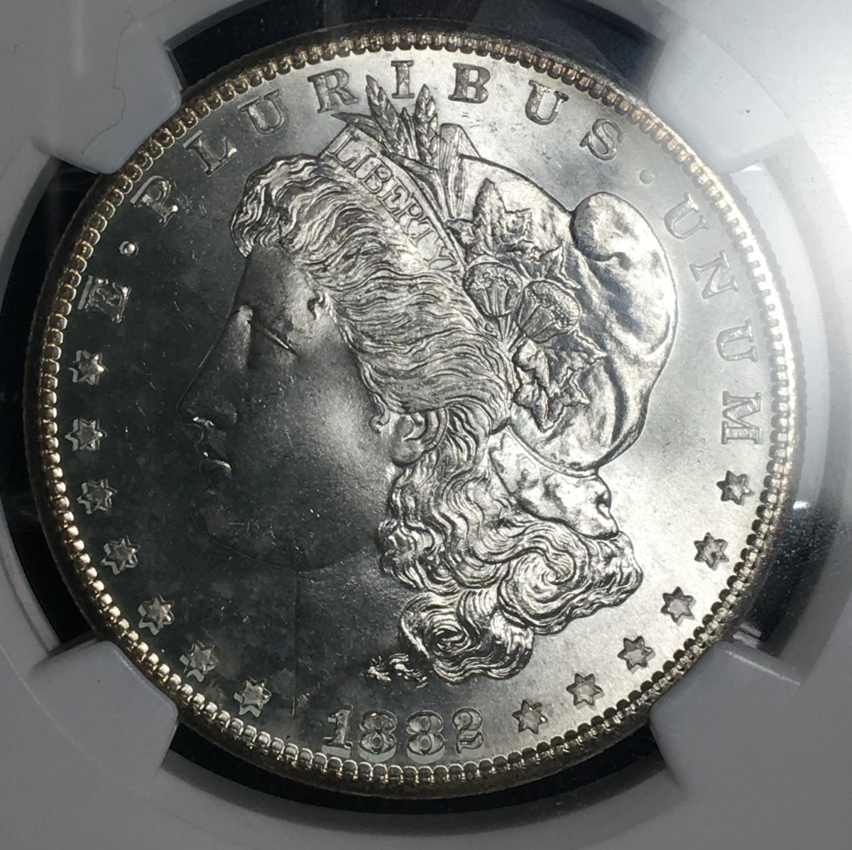 1882-S-Morgan-Silver-Dollar...-You-Vs.-NGC!