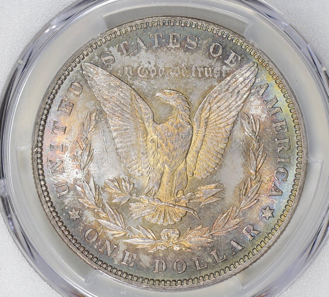 1880-Morgan-Dollar...-You-Vs.-PCGS!