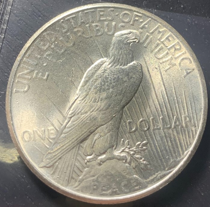 1925-P-Peace-Dollar-For-Grading