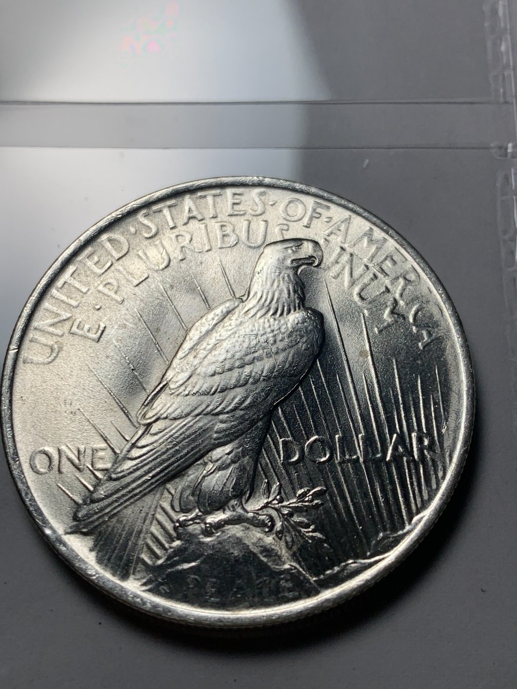 1923-Peace-Dollar-For-Grading