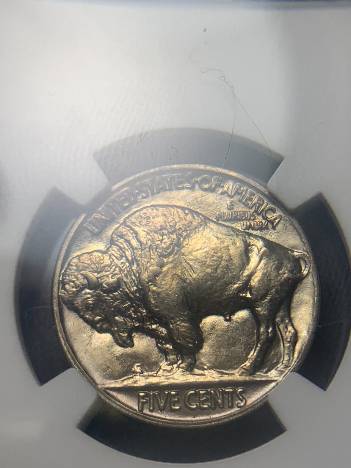 1924-Buffalo-Nickel--You-Vs.-NGC!