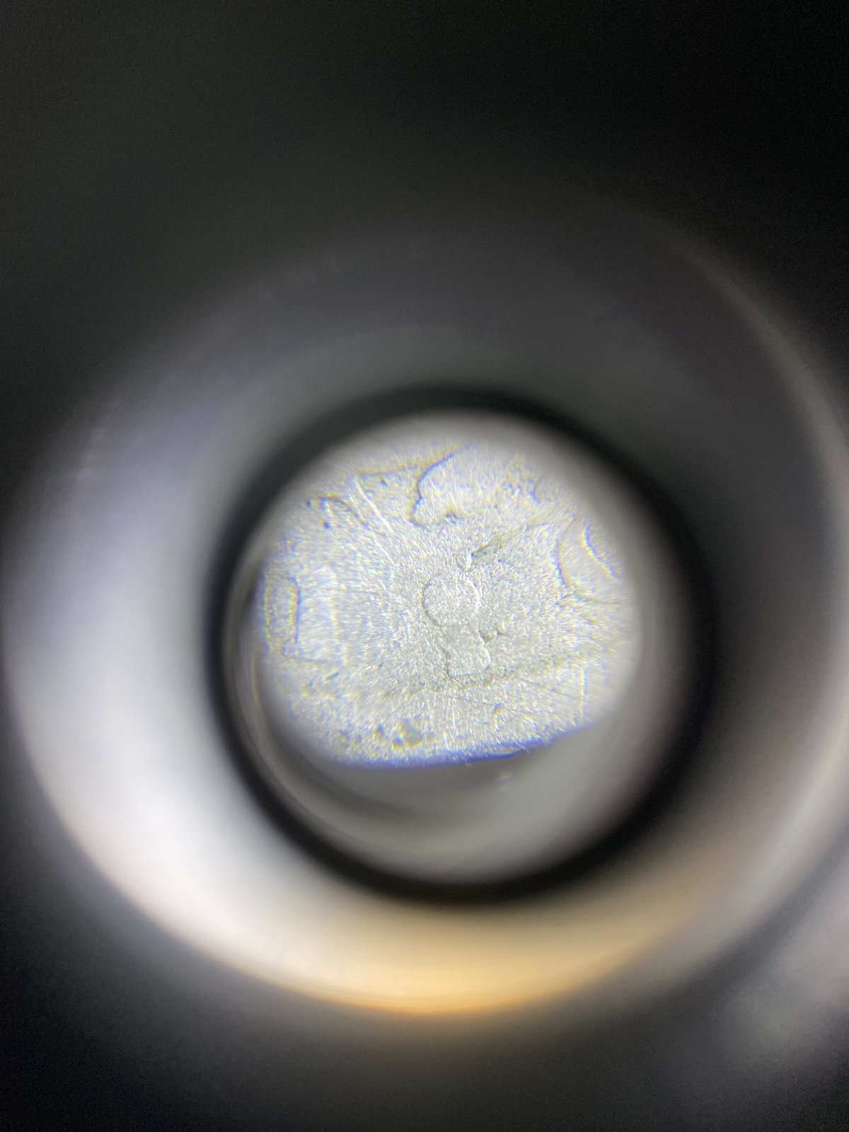 1912-V-Nickel,-Do-You-See-An-S-Or-A-D?