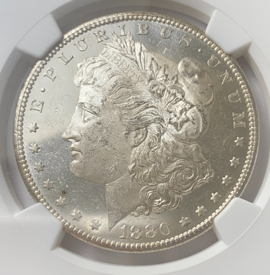 1880-S-$1-Morgan-Silver-Dollar-#3.-You-Vs.-NGC!