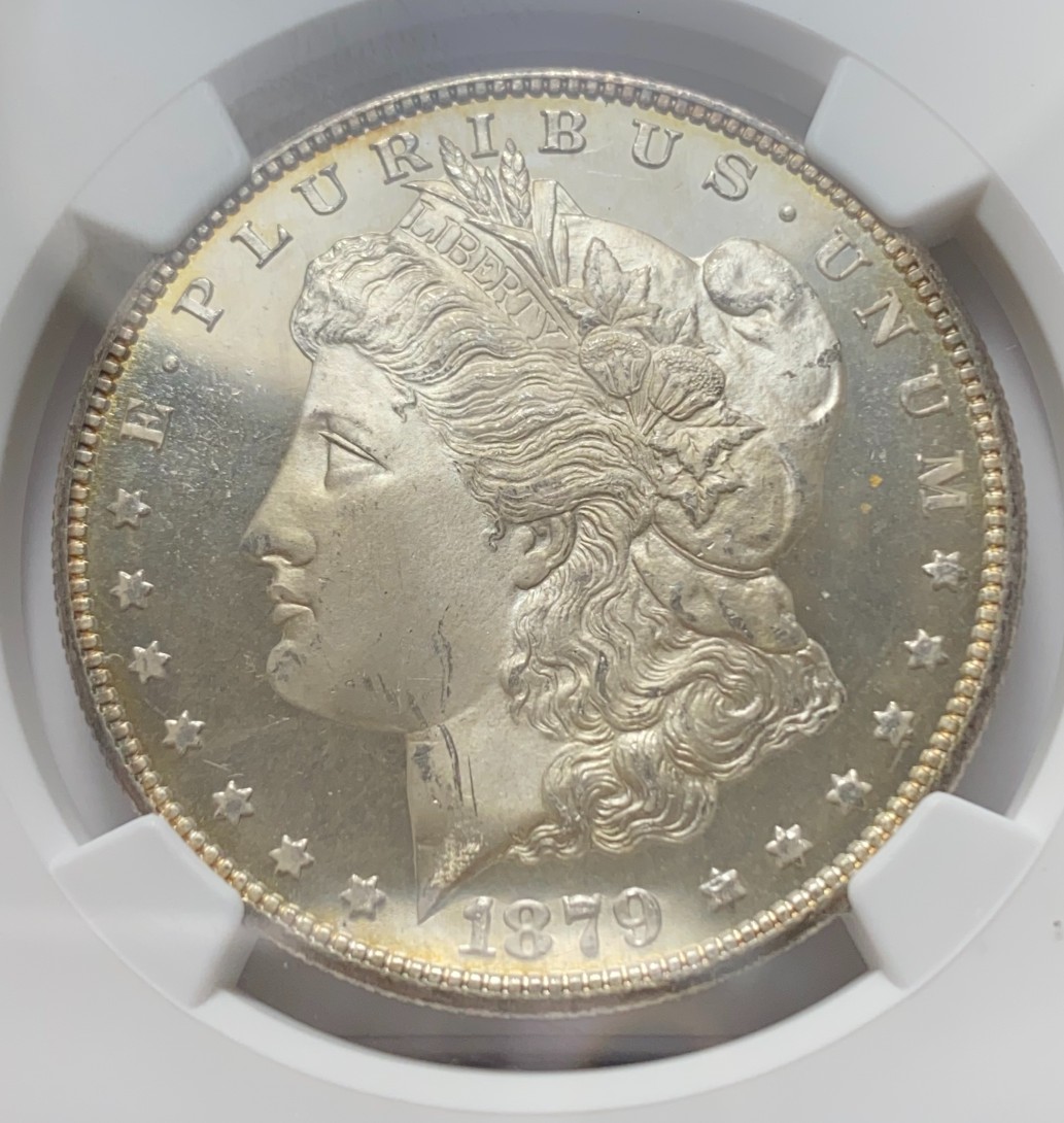1879-S-Morgan.-You-Vs.-NGC!